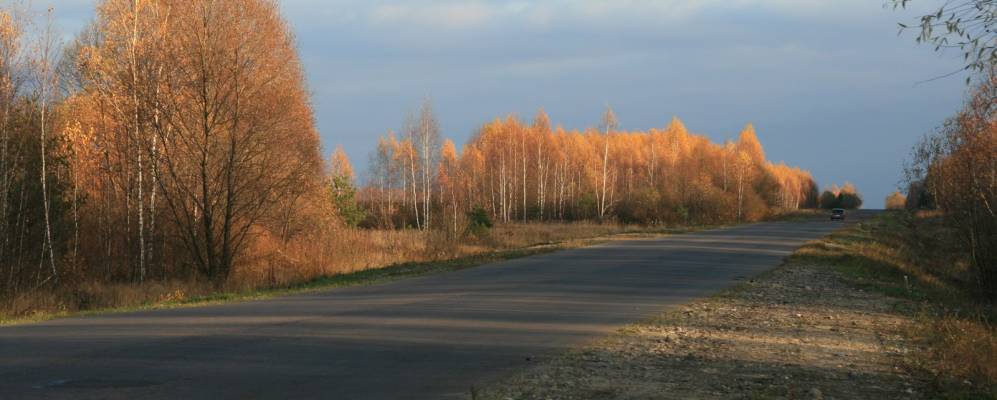 
            Фотография Пичинки