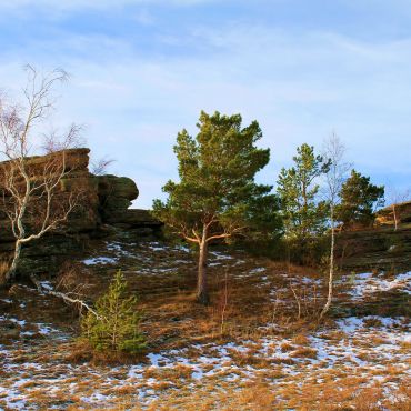 Беспаловский