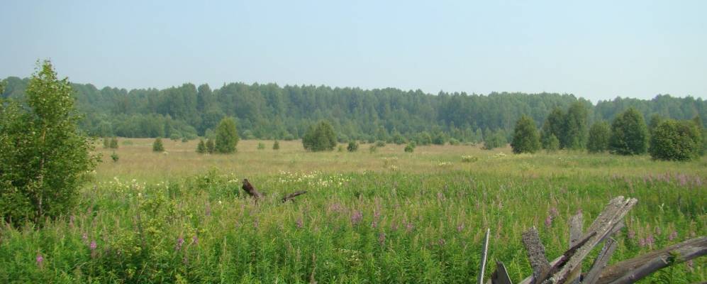 
            Фотография Елховки