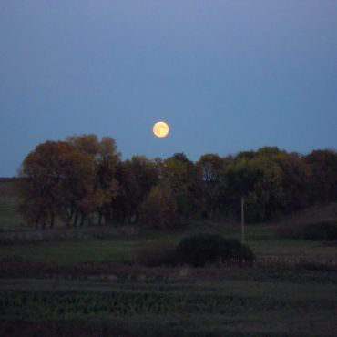 Сулимов