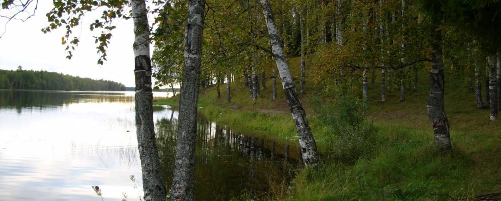 
            Фотография деревни Малые Озерки