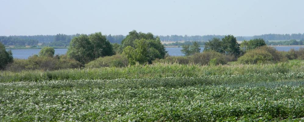 Села петровского. Село Стеньшино Тамбовской области. Стеньшино Петровского района Тамбовской области. Село Фоновка Тамбовская область Петровский район. Стеньшино усадьба Тамбовской области.