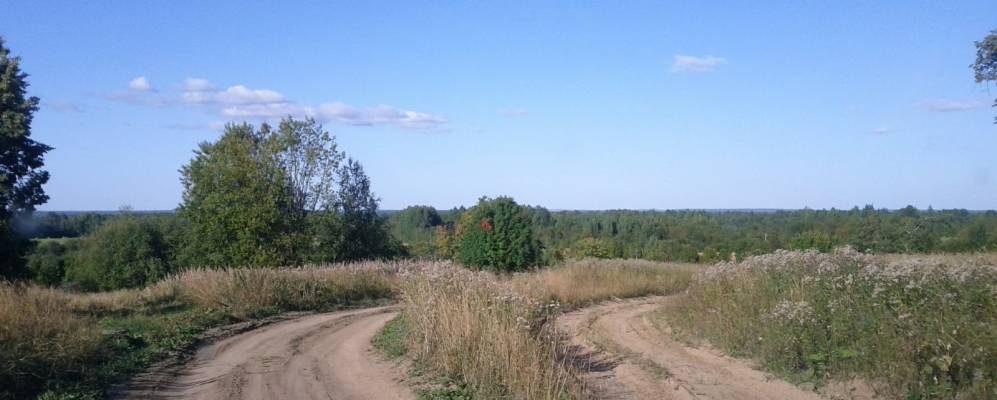 
            Фотография Воскресенского