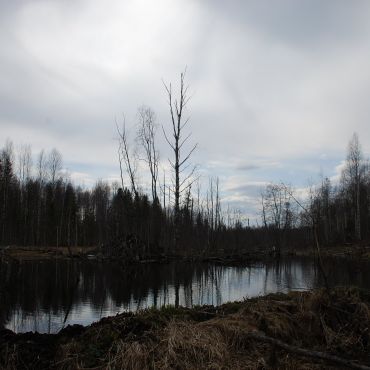 Сельменгские Половники