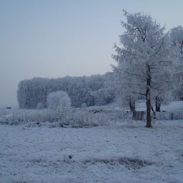 Кугарчино