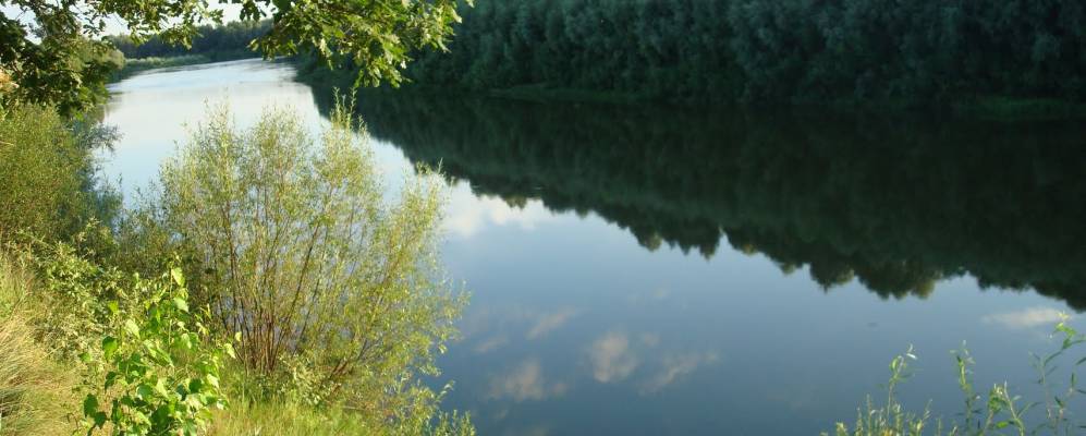 Село кураево мордовия фото