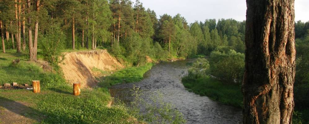 Васильево бабушкинского вологодской. Марковское сельское поселение Вологодская область.