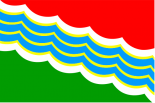 Флаг Тирасполя