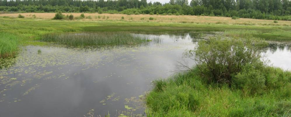 
            Фотография Большого Городца