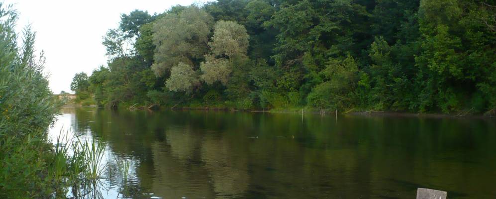 
            Фотография Сковороднево