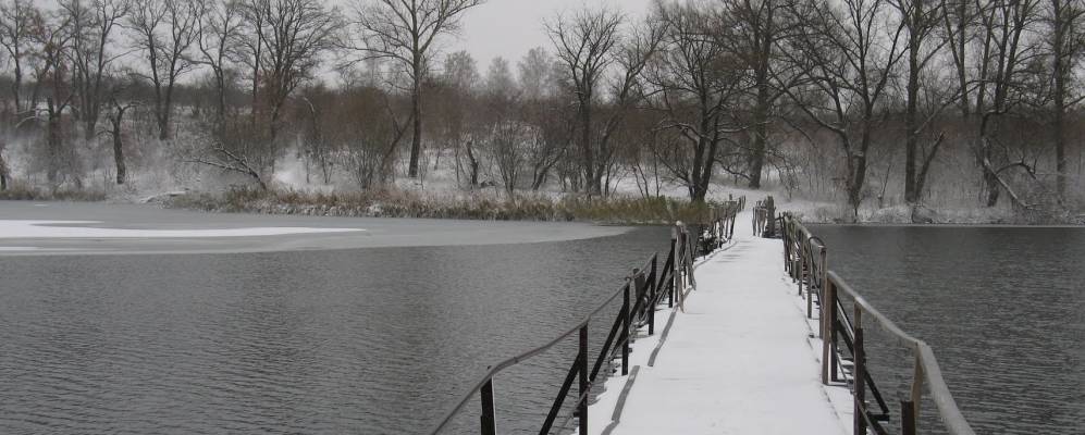 
            Фотография Партизанского