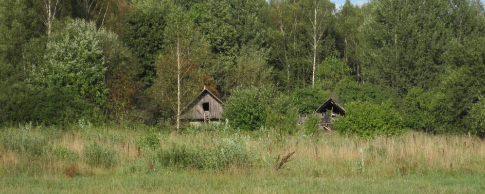 
            Фотография Дубровки