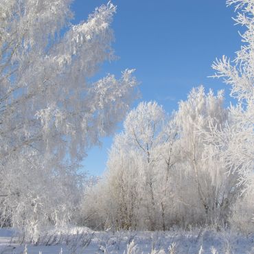 Успенский