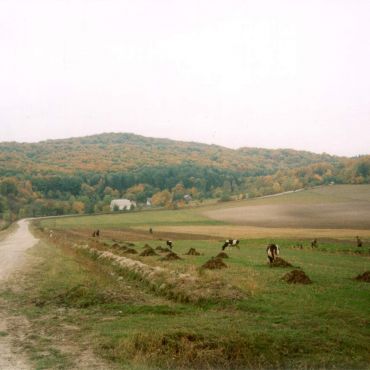 Перелески