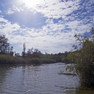 Стародобровольское