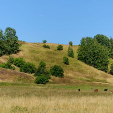 Куликалы Первые 