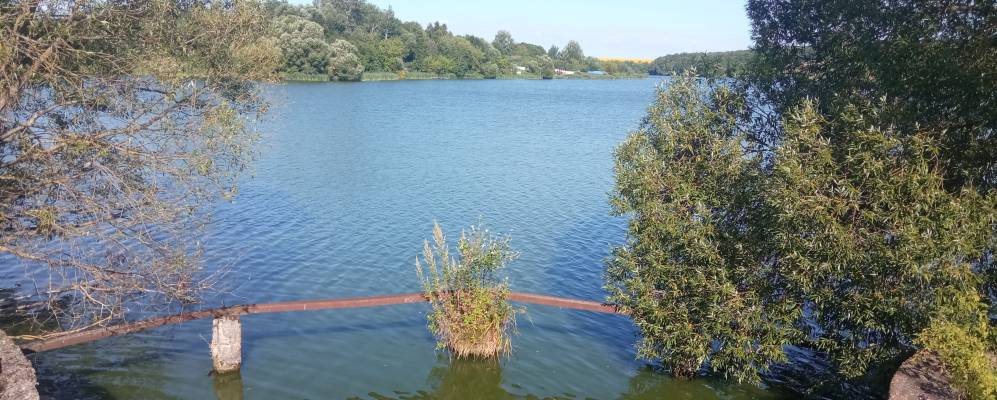 Фотография Вязового