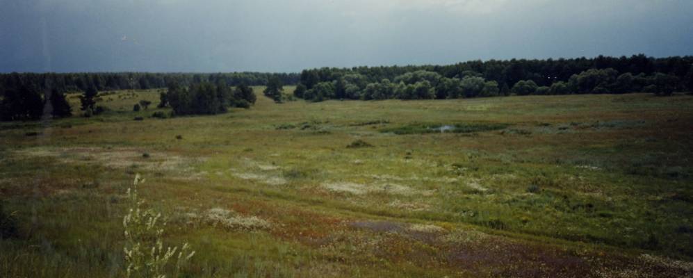 
            Фотография Родинки