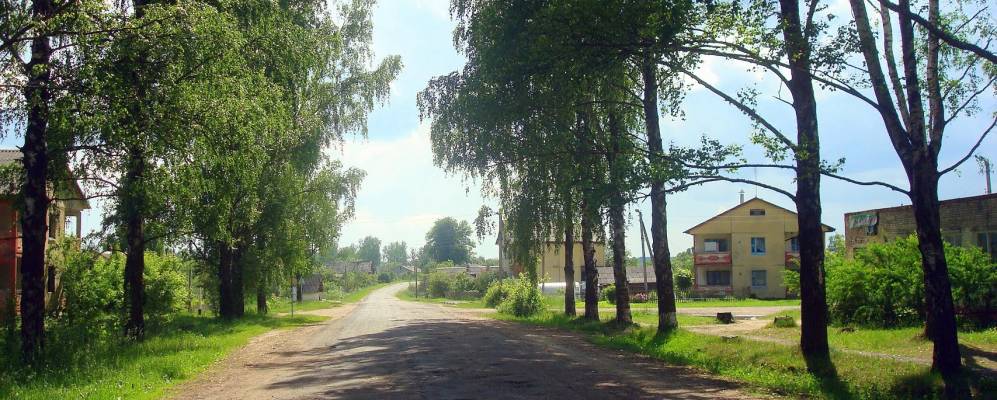 
            Фотография деревни Козики