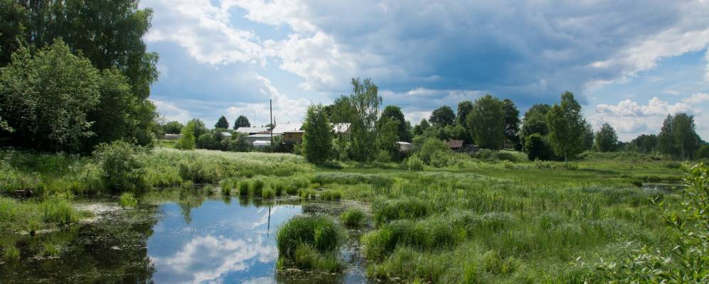 
            Фотография Волково