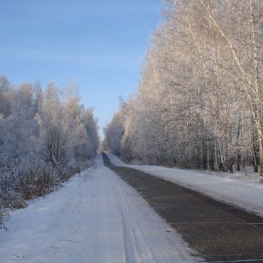 Свобода