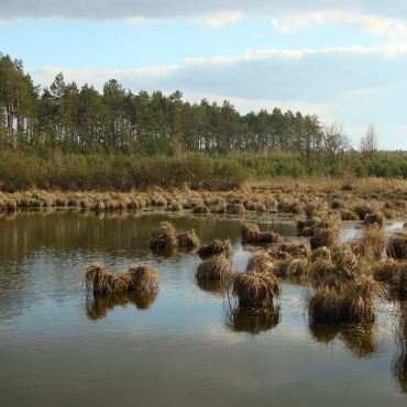 Красиловка