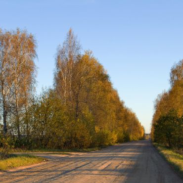 Старые Дворяниновичи