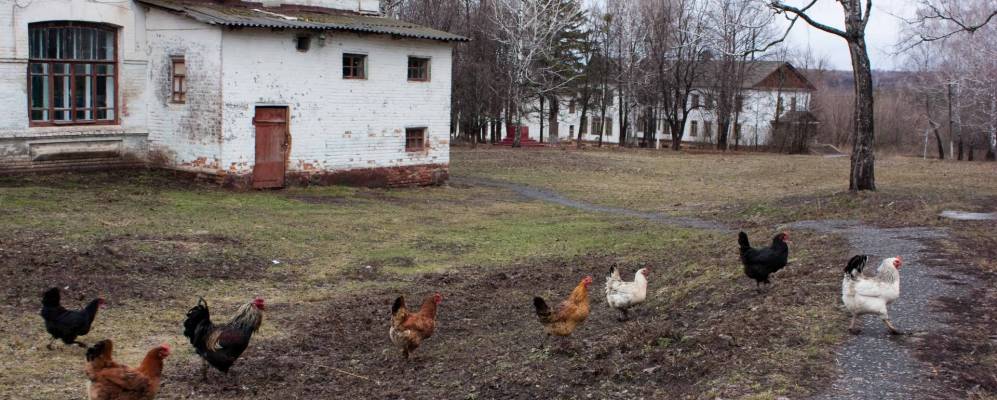 
            Фотография Кучерова