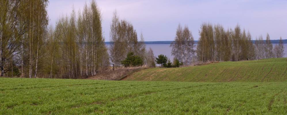 
            Фотография Куретнево