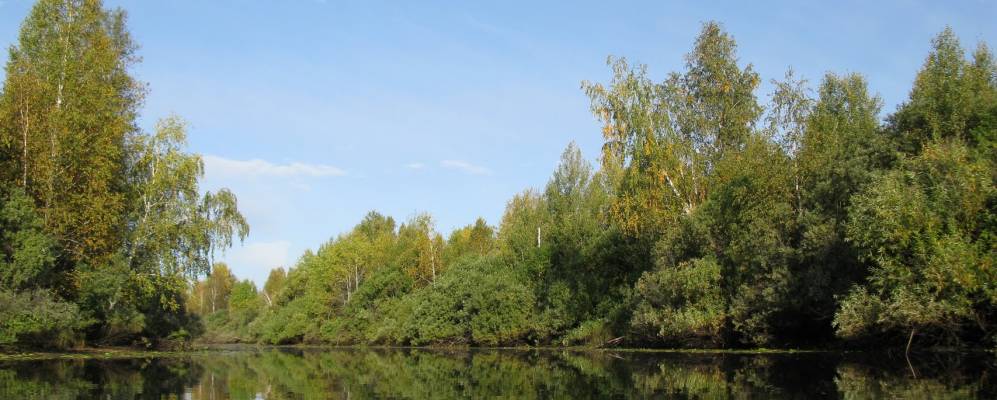 Погода село комаровка. Комаровка Кыштовский район Новосибирская область. Село Чернаковка Кыштовский район Новосибирская область. Деревня Шмаковка Кыштовского района Новосибирской области. Деревня узасс Кыштовского района Новосибирской.