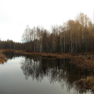 Волосово