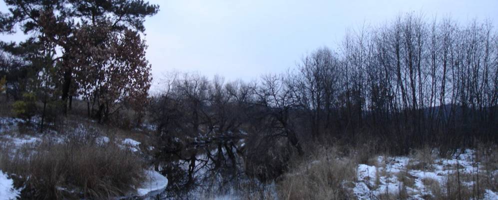 Черниговка амурская область. Село Черниговка Амурская область. Свободненский район село Черниговка. Черниговка Амурская область Свободненский район.