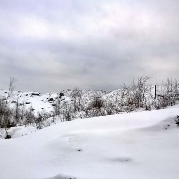 Старый Волковский