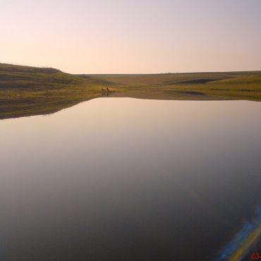 Стародубцево