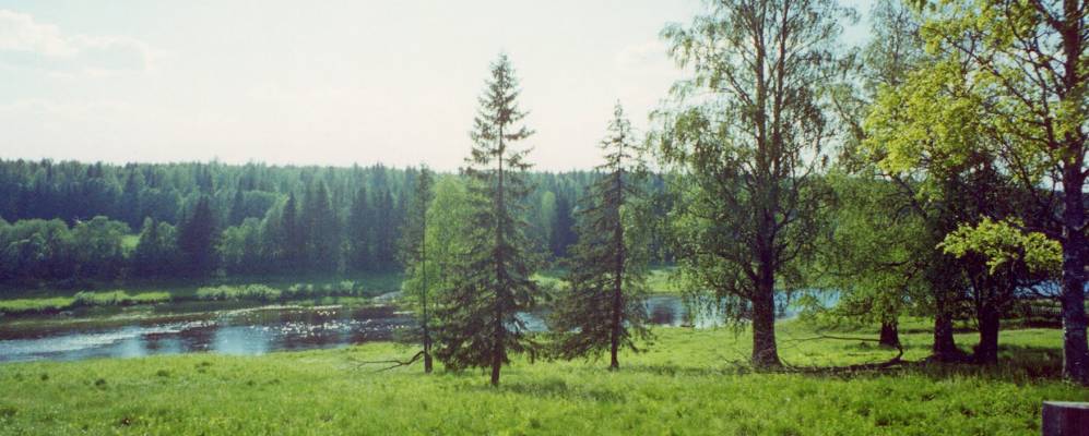 
            Фотография Березника