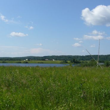 Городское