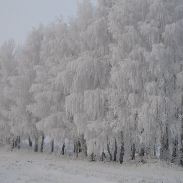 Кулевка