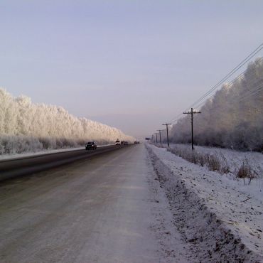 Зеленый Лог