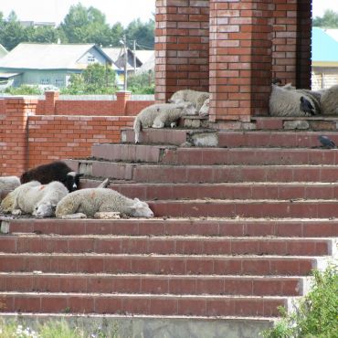 Старобалтачево