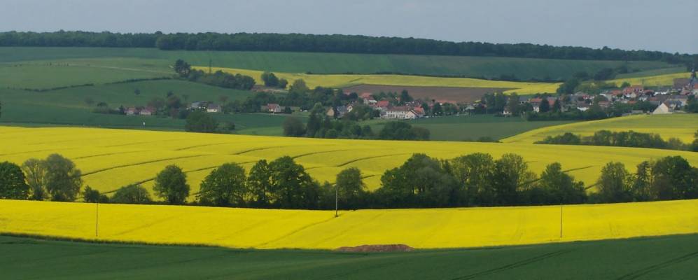 
            Фотография Chéry-Chartreuve