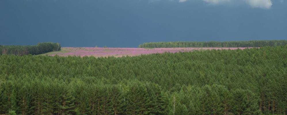 
            Фотография Топки