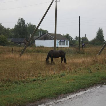 Чижово