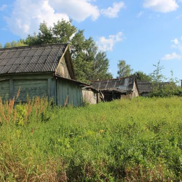 Дунайский