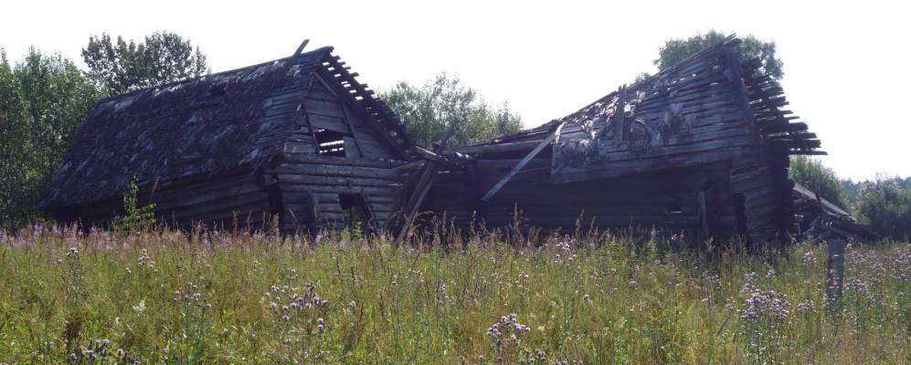 
            Фотография Мариновского