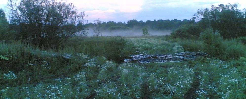 Николаевка Кемеровская область Чебулинский район. Чебулинский район село Николаевка. Новоалександровка Алтайский край.