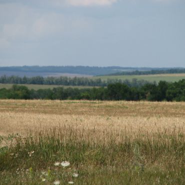 Петровское