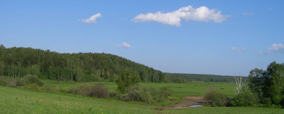 
            Фотография Желтоногино