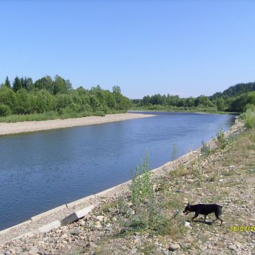 Осиновое Плесо