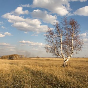 Новоташлинский