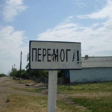 Роза